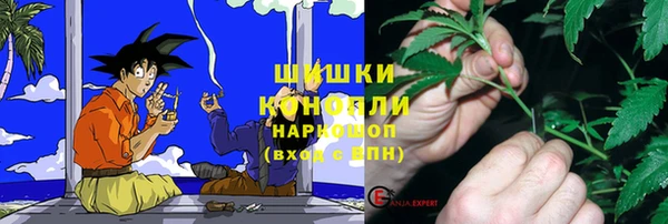 ПСИЛОЦИБИНОВЫЕ ГРИБЫ Навашино
