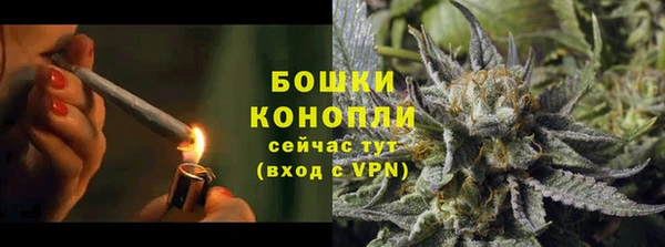 ПСИЛОЦИБИНОВЫЕ ГРИБЫ Навашино