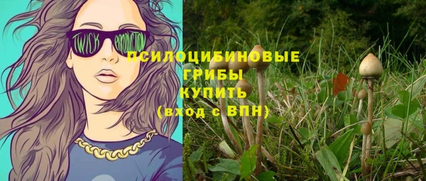 гидра Нея