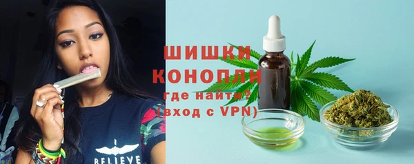 стаф Нефтегорск