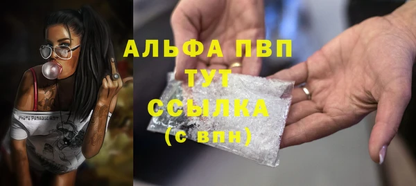 стаф Нефтегорск