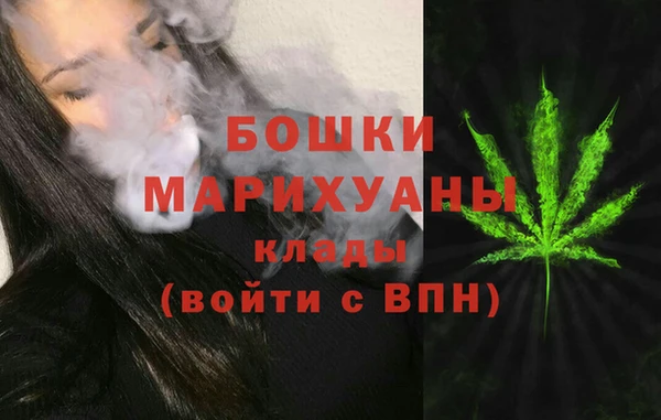 стаф Нефтегорск